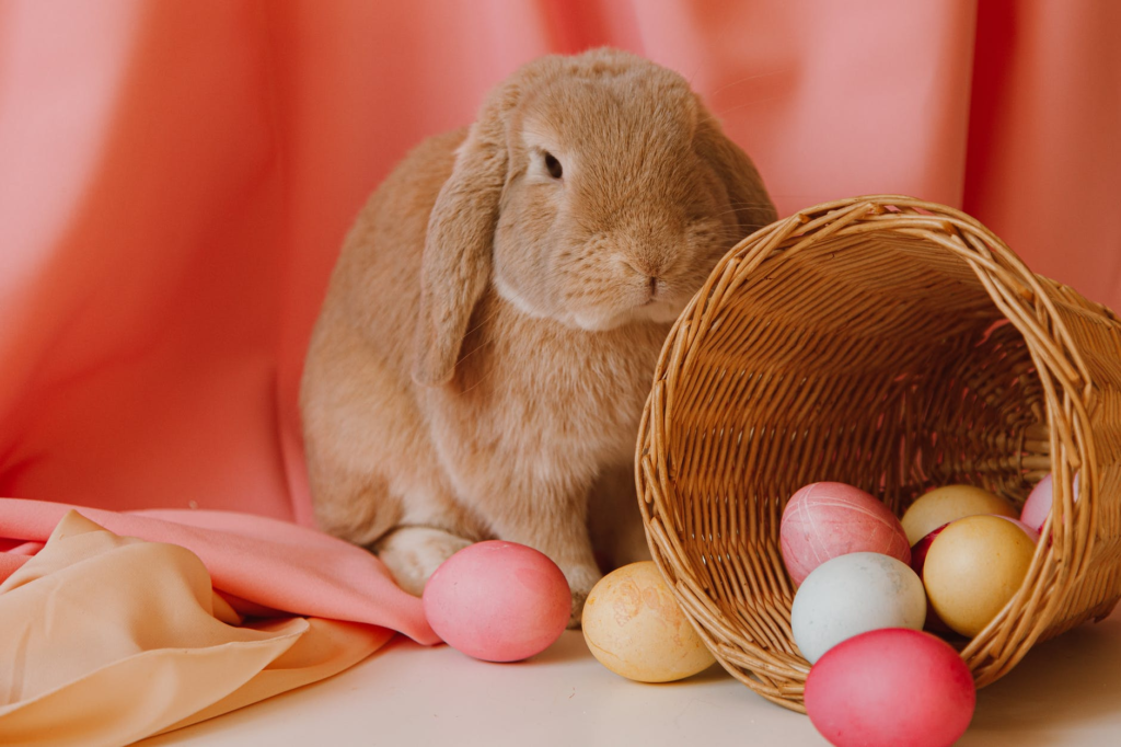 cute-easter-gift-ideas-for-friends-they-ll-love-them-share-gift