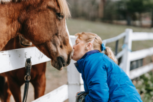 Read more about the article 11 Gift Ideas for Horse Lovers That You Should Know