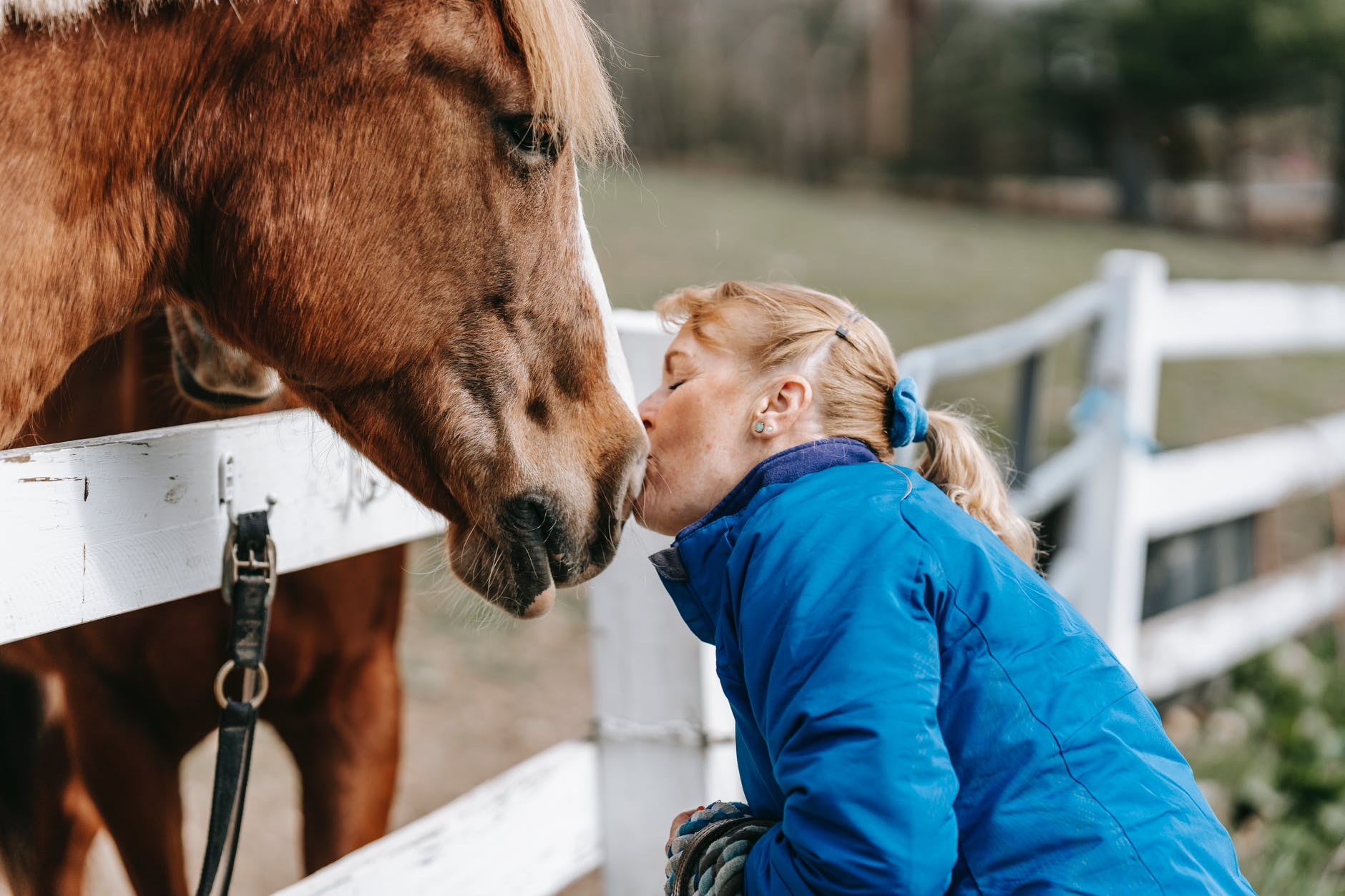 You are currently viewing 11 Gift Ideas for Horse Lovers That You Should Know